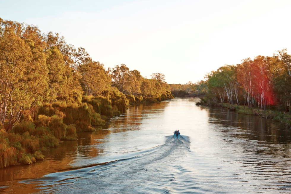 Murray River - Corowa